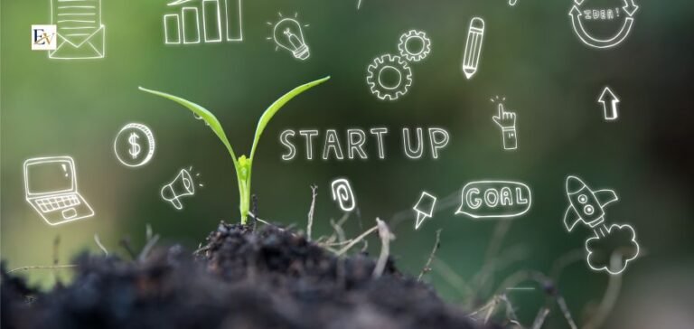 Scaling a Startup Successfully